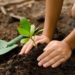 World Environment Day: Groups Plant Trees In Abuja School