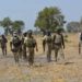 Troops Repel Terrorist Attack In Borno
