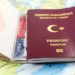 Turkey Removes Nigeria From List Of e-Visa Countries