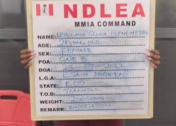 Only Atiku Can Address Economy, Security Challenges, Says US-based Physician