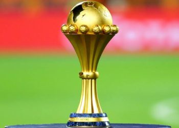 AFCON Qualifiers: Okoye Will Be Available For Guinea-Bissau Clash – NFF