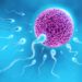 Infertility In Men: Alarming Yet Neglected 