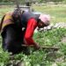 SEMA Asks Federal Govt To Protect Benue Farmers To Harvest Crops 5 Nigeria Among 7 Countries With Half of World’s Unbanked
