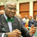 Two Years Advance Rent Harmful To Economy – Fashola