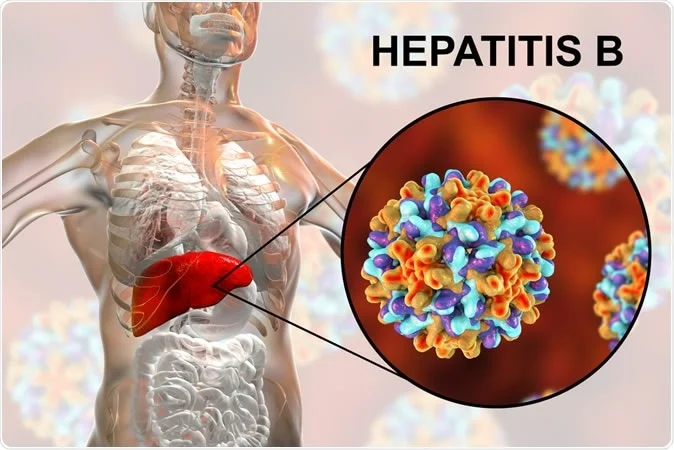 Hepatitis: Stakeholders Advocate Prevention 1 Hepatitis