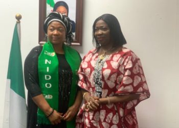 ICT, Climate-smart Agriculture Top Agenda Ahead Of Diaspora Day