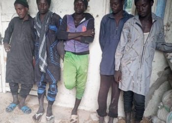 Boko Haram Commander, 4 Other Terrorists Surrender To Troops In Borno