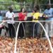 Food Security: AUDA-NEPAD To Domesticate Juncao Technology