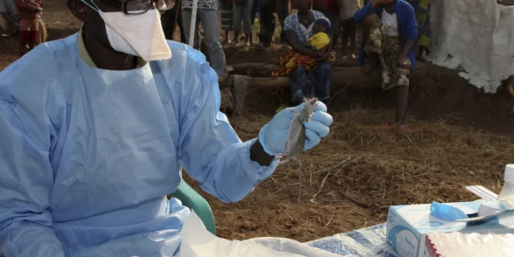 Lassa fever