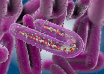 Marburg Virus: How Prepared Are We?