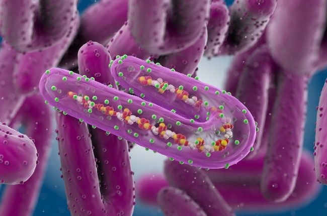 Marburg Virus: How Prepared Are We? 1 Marburg Virus1