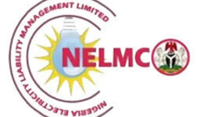 Federal Govt Approves Governing Board For NELMCO 1 NELMCO