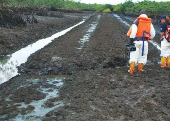 NASS Summons Minister Over Failed Ogoni Clean-up Despite $1bn Payment