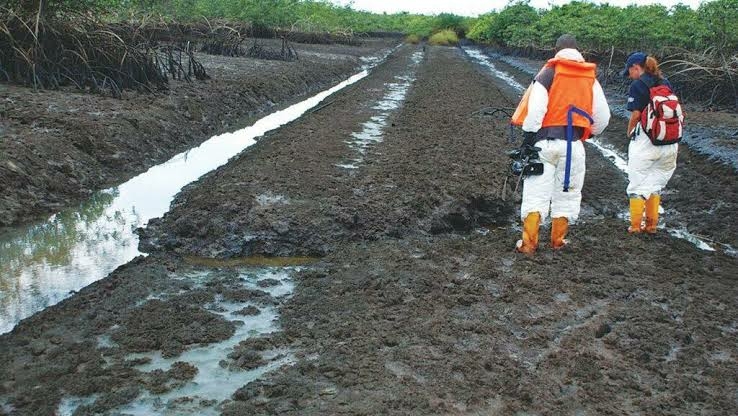 Ogoni