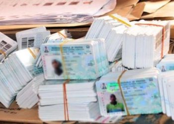 Uncovered Buried PVCs: ZLP Asks INEC, Police, DSS To Arrest Culpritsu