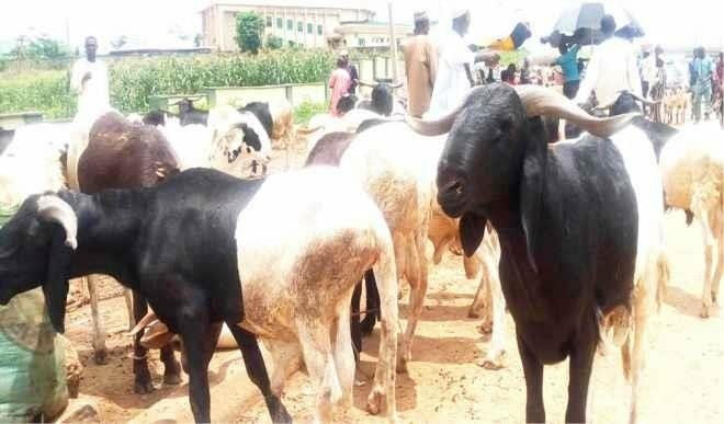 Ram Sellers