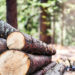 Raw Materials Deficit Plunges Manufacturers’ Output, As Operational Cost Nears 100% 5 Raw Materials