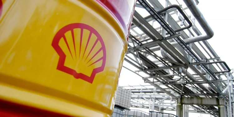 shell assets