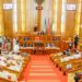 Senate Passes Bill To Establish Commission Against Arms Proliferation