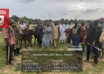 Army Rescues 7 Kidnapped Herdsmen, 200 Rustled Cows In Borno