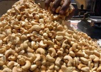 Making Fortune From Cashew Nut Export