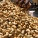 Making Fortune From Cashew Nut Export