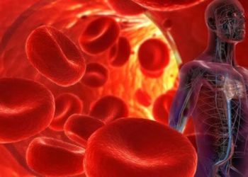 How Climate Change Crisis Is Worsening Nigeria’s Disease Burden