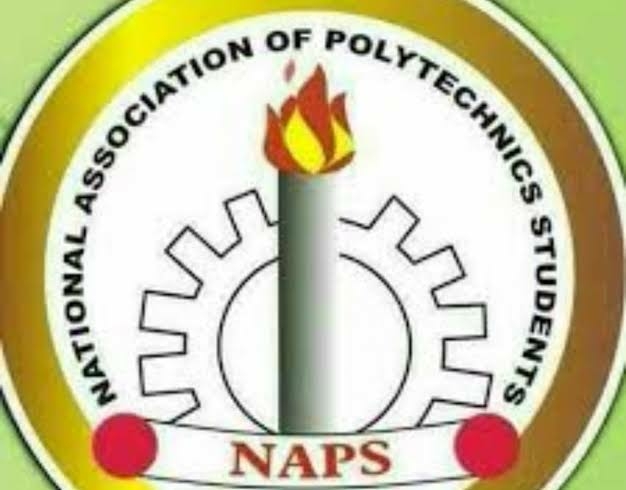 Poor Funding Of Polytechnics Bane Of Unemployment, Under - development In Nigeria - NAPS 1 images 2 7