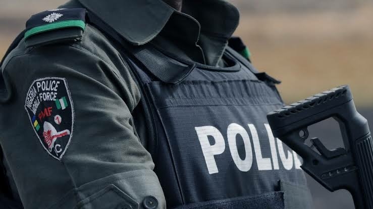Delta Police Arrest Fake EFCC Operatives 1 images.jpeg 3