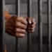Kuje Jailbreak: 2 Wanted Terrorists Re-arrested In FCT, Niger 5 Edo Cult Clash: Court Remands 7 Suspects