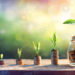 MONEY MATTERS: Getting Funding From Cooperative Societies To Grow Business