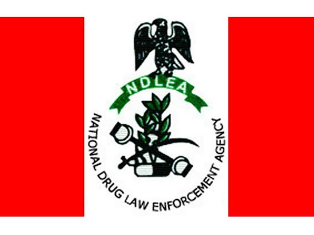 Recruitment: We Will Resolve Application Challenges – NDLEA 1 ndlea