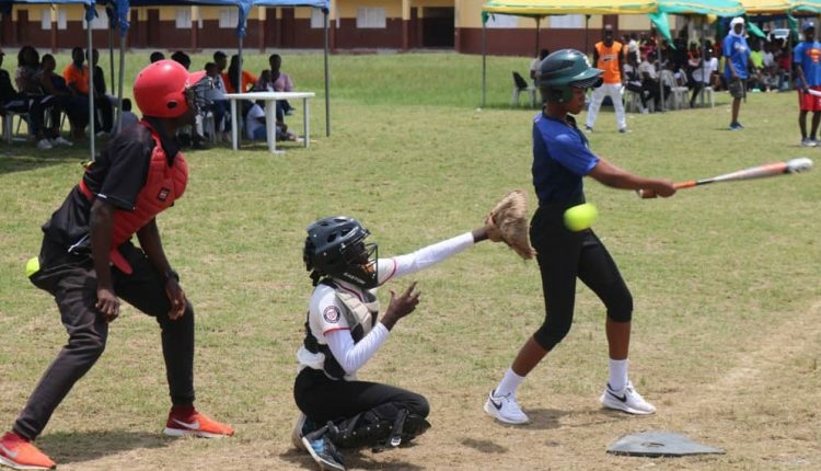 Double T Nigeria Gets Nod To Host 2nd Toyin Ojora-Saraki Baseball & Softball Tourney 1 softball 750x430 1