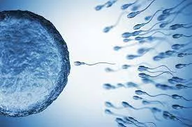 What You Should Know About Male Infertility