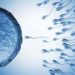 What You Should Know About Male Infertility