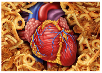 Transfat: Nigeria’s Silent Killer Substance