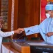 I Will Block Leakages, Generate More Revenue – New RMAFC Chair