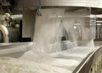 Dangote Sugar Refinery: Sweet Performance On The Cards