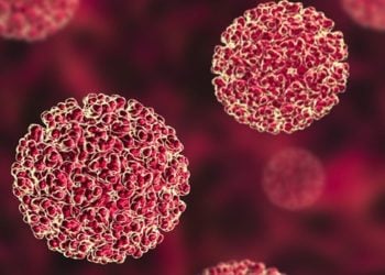 All Hands On Deck To Tackle Hepatitis B Virus