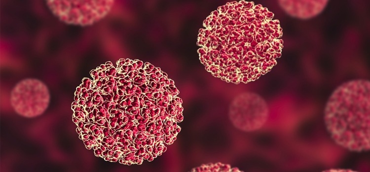 All Hands On Deck To Tackle Hepatitis B Virus 1 Hepatitis