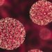 All Hands On Deck To Tackle Hepatitis B Virus