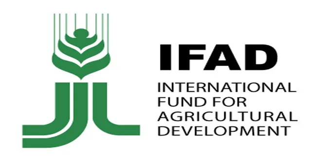 Federal Govt, IFAD Train Institutions To Enhance Farmers’ Access To Credit 1 IFAD
