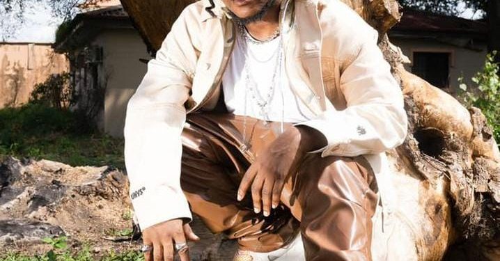 Ashidapo