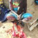Army Arrests 7 Boko Haram Logistics Suppliers, Kidnappers, Rescues Victims 