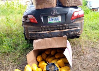 Police Arrest Suspect With Stolen Car Loaded With Cannabis Sativa