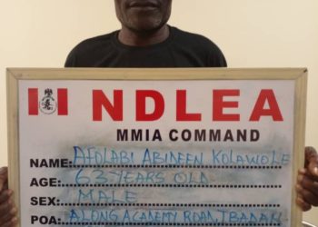 NDLEA Intercepts 2.3m Opioid Tabs