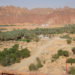 ISLAM COLUMN: Al-‘Ula And Mada’in Saleh (1)