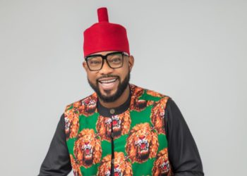2023: Court Affirms Ikenga As PDP Candidate For Ideato Federal Constituency