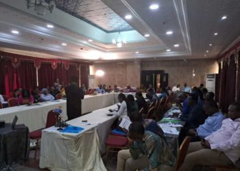 Nigeria Committed To Implement Disability Responsive Projects – NCPWD