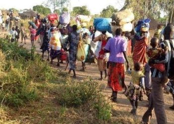 Insecurity: Timber Shades Take Over Yam Markets As Taraba Farmers Flee Settlements